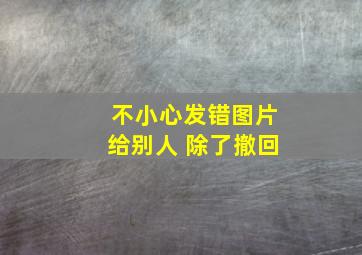 不小心发错图片给别人 除了撤回